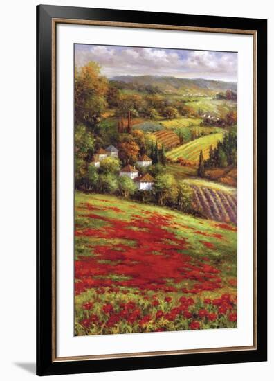 Valley View III-Hulsey-Framed Art Print
