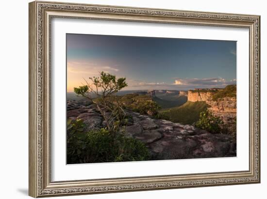 Valleys Below Pai Inacio in Chapada Diamantina National Park in Bahia State at Sunset-Alex Saberi-Framed Photographic Print