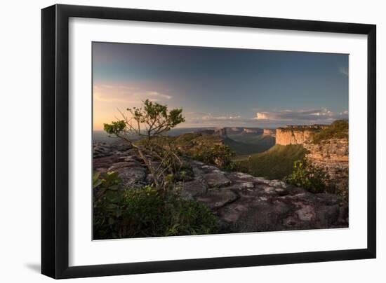 Valleys Below Pai Inacio in Chapada Diamantina National Park in Bahia State at Sunset-Alex Saberi-Framed Photographic Print