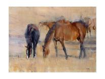 Southern Horses-Valtcho Tonov-Art Print