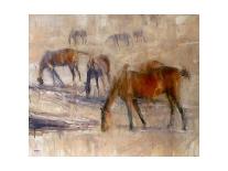 Southern Horses-Valtcho Tonov-Art Print