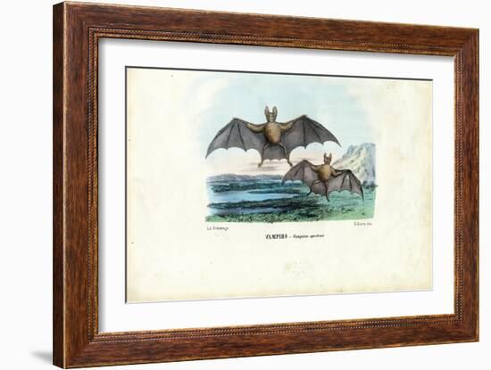 Vampire Bat, 1863-79-Raimundo Petraroja-Framed Giclee Print