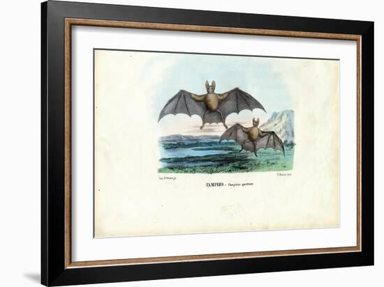 Vampire Bat, 1863-79-Raimundo Petraroja-Framed Giclee Print