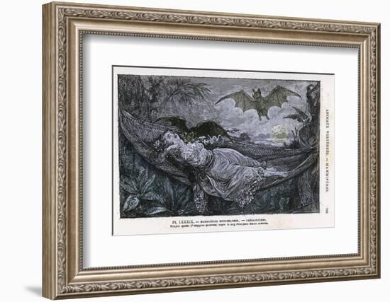 Vampire Bat Bites the Neck of a Sleeping Girl in as Hammock-null-Framed Photographic Print