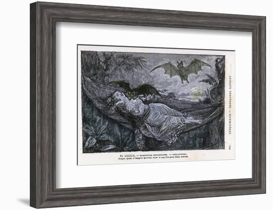 Vampire Bat Bites the Neck of a Sleeping Girl in as Hammock-null-Framed Photographic Print