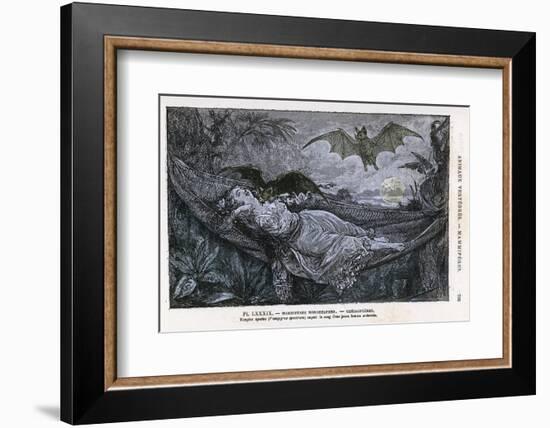 Vampire Bat Bites the Neck of a Sleeping Girl in as Hammock-null-Framed Photographic Print