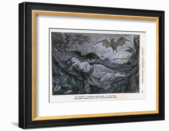 Vampire Bat Bites the Neck of a Sleeping Girl in as Hammock-null-Framed Photographic Print