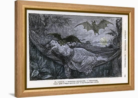 Vampire Bat Bites the Neck of a Sleeping Girl in as Hammock-null-Framed Premier Image Canvas