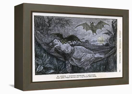 Vampire Bat Bites the Neck of a Sleeping Girl in as Hammock-null-Framed Premier Image Canvas