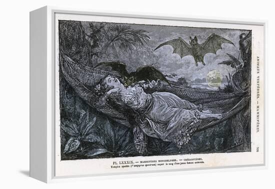 Vampire Bat Bites the Neck of a Sleeping Girl in as Hammock-null-Framed Premier Image Canvas