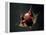 Vampire Squid Going into Opineappleo Defense Posture-null-Framed Premier Image Canvas