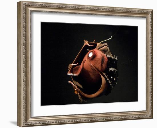 Vampire Squid Going into Opineappleo Defense-null-Framed Photographic Print