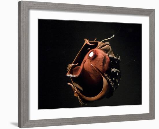 Vampire Squid Going into Opineappleo Defense-null-Framed Photographic Print