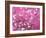 Van Gogh Almond Branches Pink Art Print Poster-null-Framed Art Print