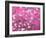 Van Gogh Almond Branches Pink Art Print Poster-null-Framed Art Print