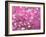 Van Gogh Almond Branches Pink Art Print Poster-null-Framed Art Print