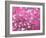 Van Gogh Almond Branches Pink Art Print Poster-null-Framed Premium Giclee Print