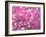 Van Gogh Almond Branches Pink Art Print Poster-null-Framed Premium Giclee Print