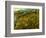 Van Gogh: Field, 1890-Vincent van Gogh-Framed Giclee Print