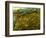 Van Gogh: Field, 1890-Vincent van Gogh-Framed Giclee Print