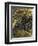 Van Gogh: Hospital, 1889-Vincent van Gogh-Framed Giclee Print