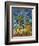 Van Gogh: Hospital, 1889-Vincent van Gogh-Framed Giclee Print