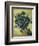 Van Gogh, Irises(1890)-null-Framed Premium Giclee Print