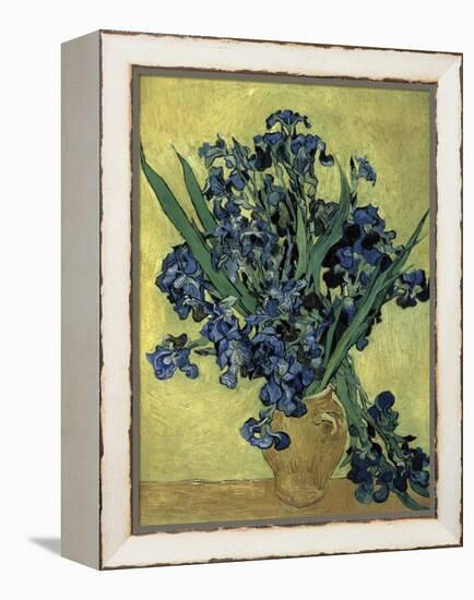 Van Gogh, Irises(1890)-null-Framed Premier Image Canvas