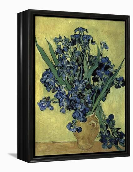 Van Gogh, Irises(1890)-null-Framed Premier Image Canvas