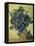 Van Gogh, Irises(1890)-null-Framed Premier Image Canvas