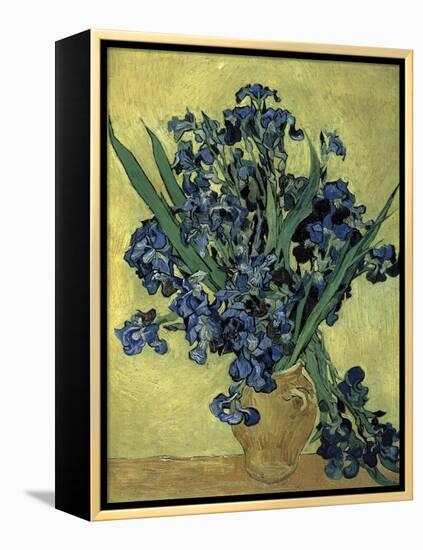 Van Gogh, Irises(1890)-null-Framed Premier Image Canvas