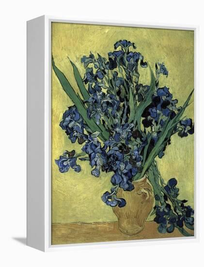 Van Gogh, Irises(1890)-null-Framed Premier Image Canvas
