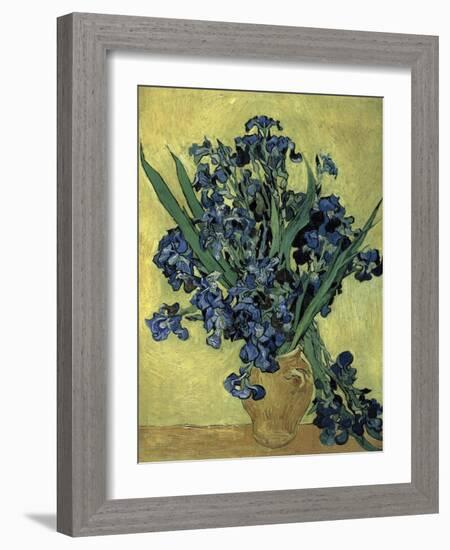 Van Gogh, Irises(1890)-null-Framed Giclee Print