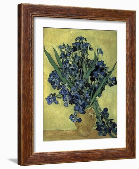 Van Gogh, Irises(1890)-null-Framed Giclee Print