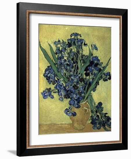Van Gogh, Irises(1890)-null-Framed Giclee Print