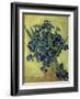 Van Gogh, Irises(1890)-null-Framed Giclee Print