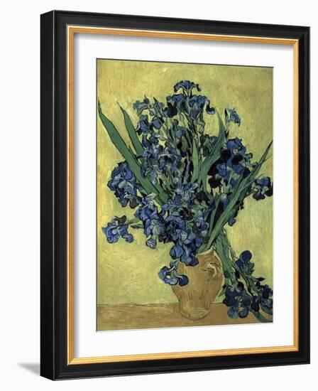 Van Gogh, Irises(1890)-null-Framed Giclee Print