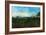 Van Gogh: Landscape, 1888-Vincent van Gogh-Framed Giclee Print