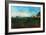 Van Gogh: Landscape, 1888-Vincent van Gogh-Framed Giclee Print