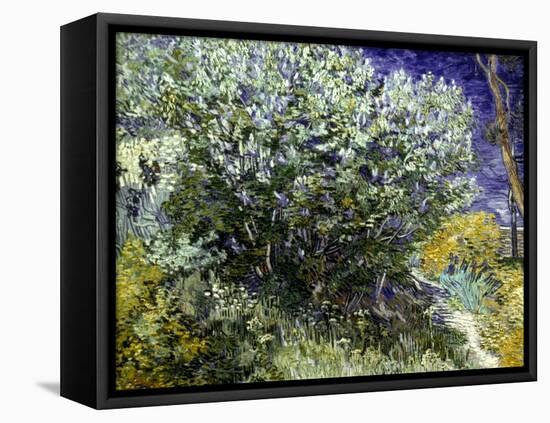 Van Gogh: Lilacs, 19Th C-Vincent van Gogh-Framed Premier Image Canvas