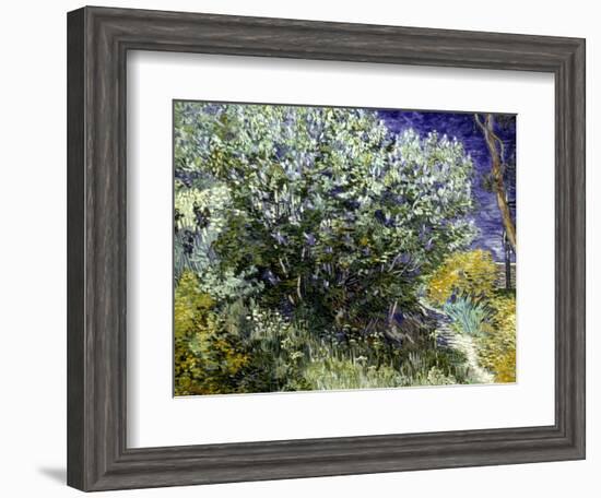 Van Gogh: Lilacs, 19Th C-Vincent van Gogh-Framed Giclee Print