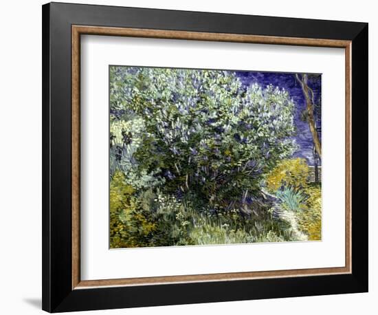 Van Gogh: Lilacs, 19Th C-Vincent van Gogh-Framed Giclee Print