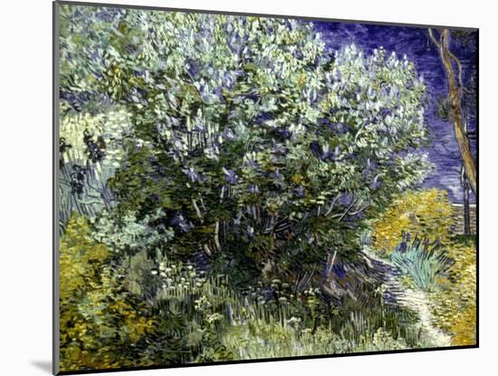Van Gogh: Lilacs, 19Th C-Vincent van Gogh-Mounted Giclee Print