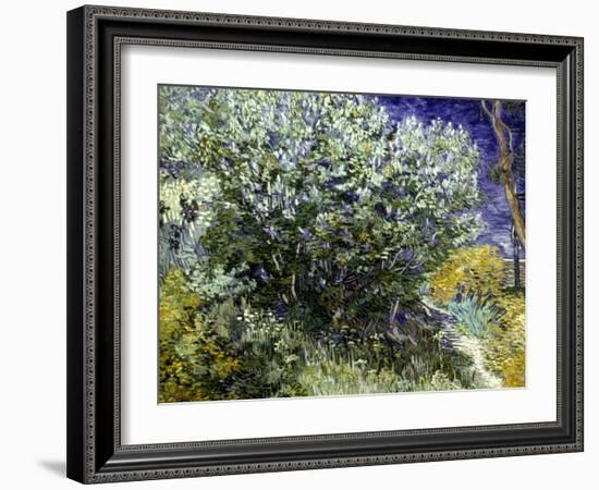 Van Gogh: Lilacs, 19Th C-Vincent van Gogh-Framed Giclee Print