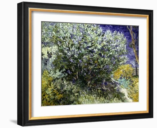 Van Gogh: Lilacs, 19Th C-Vincent van Gogh-Framed Giclee Print