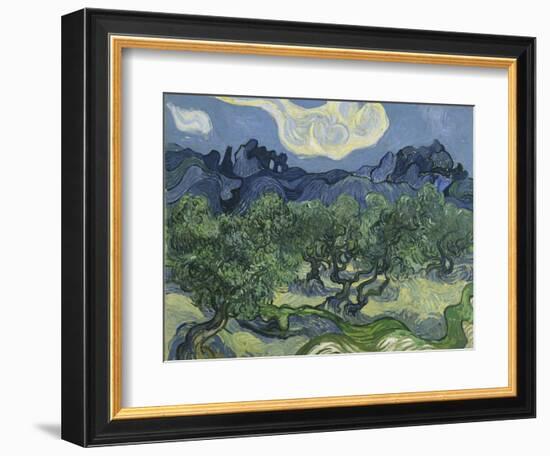 Van Gogh, Olive Trees-null-Framed Giclee Print