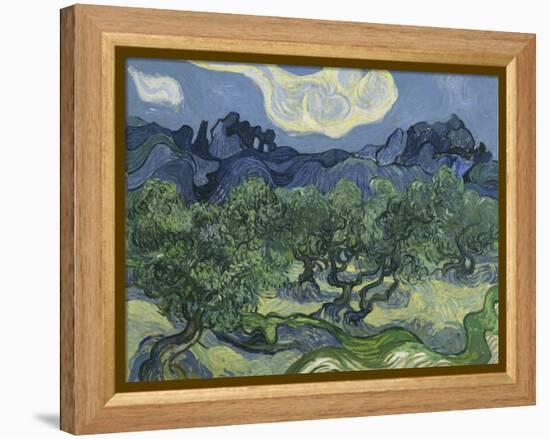 Van Gogh, Olive Trees-null-Framed Premier Image Canvas