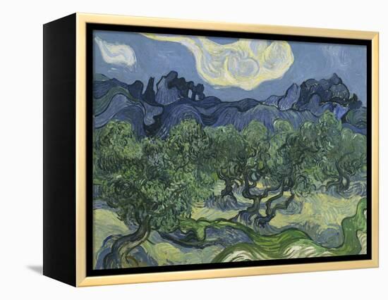 Van Gogh, Olive Trees-null-Framed Premier Image Canvas