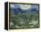 Van Gogh, Olive Trees-null-Framed Premier Image Canvas