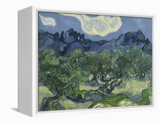 Van Gogh, Olive Trees-null-Framed Premier Image Canvas
